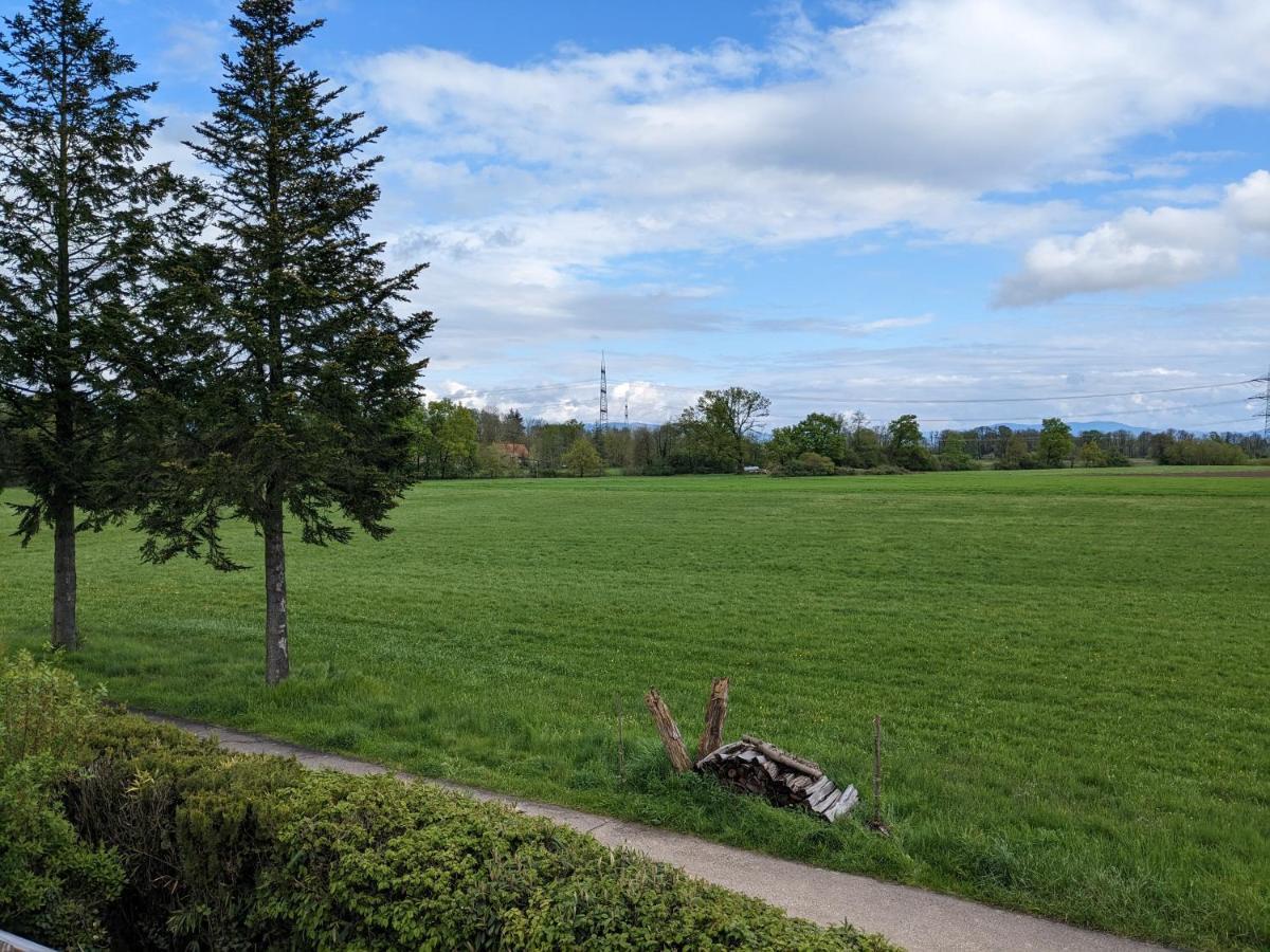 Badischer Neubau-Ruhe-Kunst-Natur Rheinau Kültér fotó
