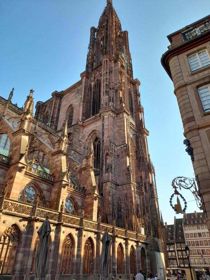 Badischer Neubau-Ruhe-Kunst-Natur Rheinau Kültér fotó