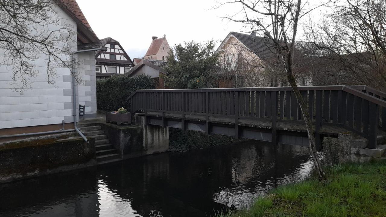 Badischer Neubau-Ruhe-Kunst-Natur Rheinau Kültér fotó
