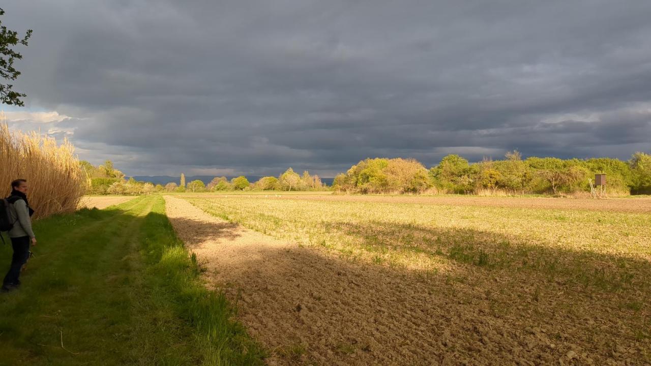 Badischer Neubau-Ruhe-Kunst-Natur Rheinau Kültér fotó