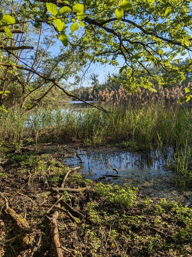 Badischer Neubau-Ruhe-Kunst-Natur Rheinau Kültér fotó